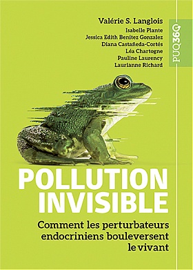 Pollution invisible